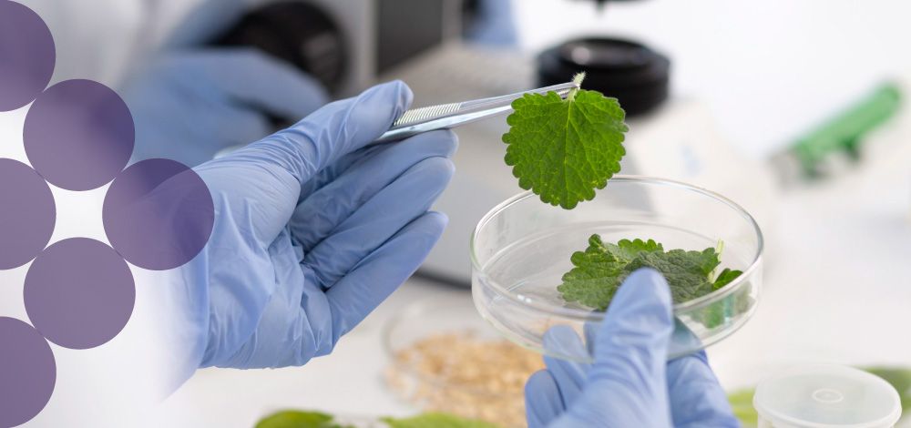 BIOFUNGICIDA
